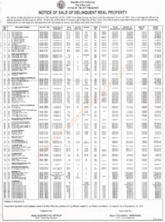 San Juan Tax Delinquent Properties auction on February 9, 2012