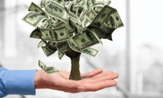 retirement money tree