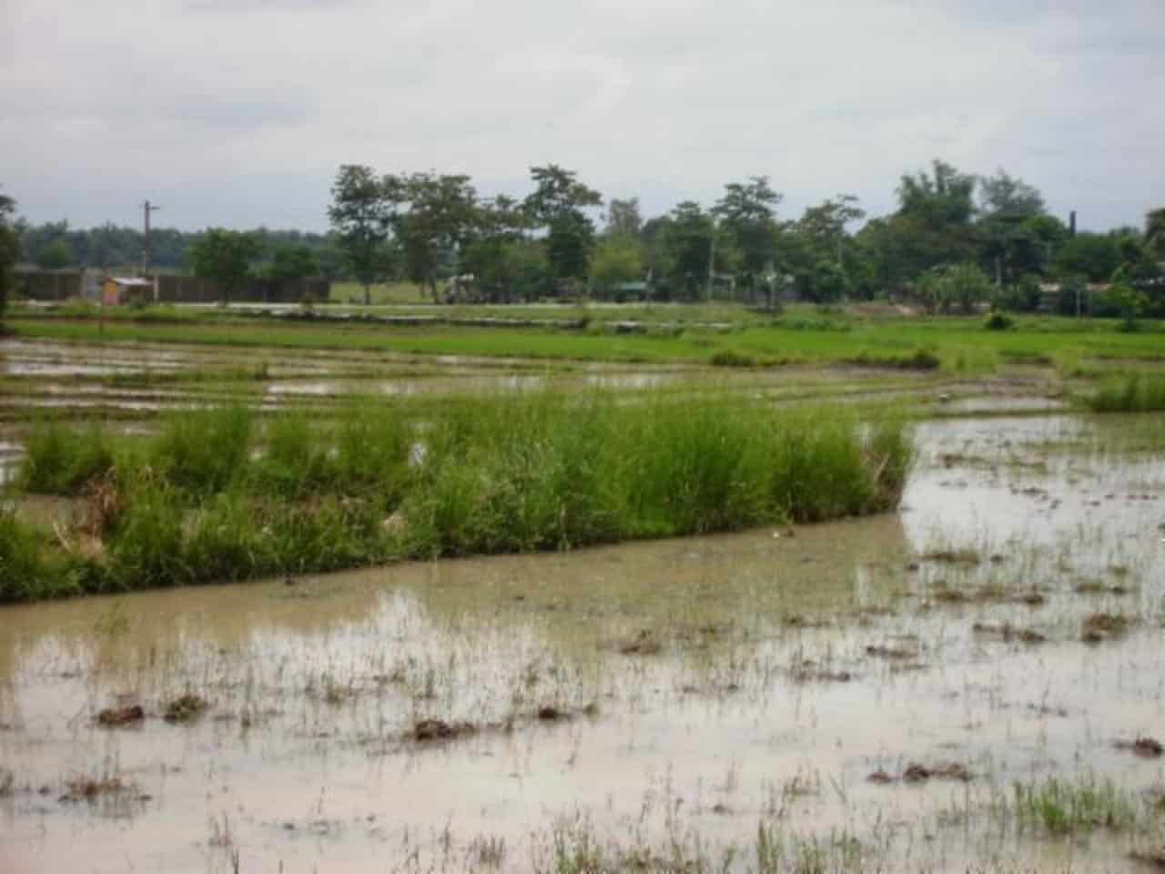 Balungao pangasinan | Mt Balungao Pangasinan