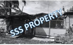 SSS 048 LOT 10 BLOCK 5 EVELYN SUBDIVISION NEW VISAYAS 1