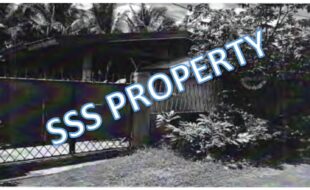 SSS 6891 LOT 5 BLOCK 6 ARGUELLES SUBDIVISION NEW VISAYAS 1