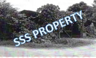 SSS LOT 1 BLOCK 12 GONZALES SUBDIVISION SAN VICENTE PANABO 1