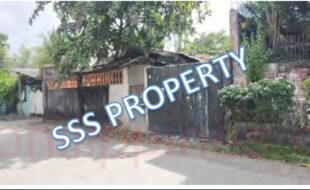 SSS LOT 20 BLOCK 2 BH SUBD. BRGY. NAVAIS MANDURRIAO 1