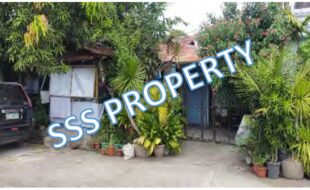 SSS LOT 28 BLOCK 1 MOLAVE ST. BH SUBD. BRGY 1