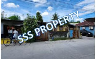 SSS LOT 3821 A 2 E 5 B 3 A 9 A PUROK GLORIA ST. CORNER DAHLIA ST. BRGY 1