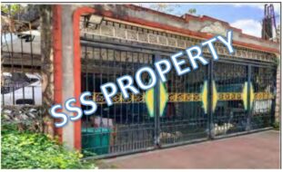 SSS LOT 4 ELGINE ST. INTERVILLE SUBD. III BRGY. SAN 1