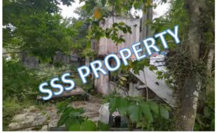 SSS LOT 4386 PROVINCIAL RD. BRGY. OBALIW OAS ALBAY 1