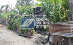 sss lot 31 block 8 remedios st. canetown subd phase