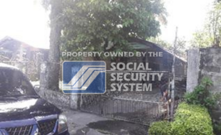 sss lot 8 block 7 remegios st. canetown subd brgy